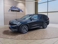 Daumennagel 1 - Skoda Kodiaq Sportline 2,0TDI 193PS aAHK/4*J.Gar/Matrix/Navi/ACC/el.Klappe  **