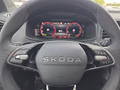 Daumennagel 23 - Skoda Karoq Sportline 2,0TSI DSG Pano/AHK/4*J.Gar/Navi/Matrix   **
