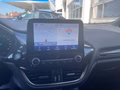 Daumennagel 13 - Ford Fiesta Active Plus
