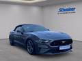 Daumennagel 7 - Ford Mustang GT Convertible