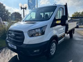 Daumennagel 2 - Ford Transit Pritsche 350 L3 Einzelkabine Trend