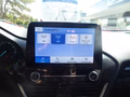 Daumennagel 16 - Ford Puma ST-Line
