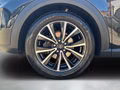 Daumennagel 9 - Ford Puma Titanium