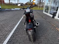 Daumennagel 9 - Triumph Trident 800 NEU! 115PS Quick-Shifter