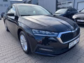Daumennagel 3 - Skoda Octavia Combi 2.0 TDI "Ambition" 1.Hand/BI-Xenon/NAVI/AHK/Neue Reifen