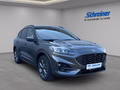 Daumennagel 7 - Ford Kuga Plug-In Hybrid ST-Line X
