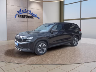 Skoda Kodiaq age.one-day registration Kaufen