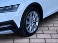 Daumennagel 6 - Skoda Octavia Combi Scout 4x4 2.0 TDI DSG AHK ACC Columbus Ergo-Sitze