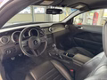 Daumennagel 11 - Ford Mustang Shelby GT 500 SVT