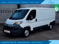 Daumennagel 1 - Citroën Jumper Kasten 30 L2H1 Profi BlueHDi 130