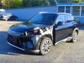 Daumennagel 1 - BYD Atto 2 1.5 PHEV DM-i Autom. Kamera. Navi. Leder. SHZ. Pano.