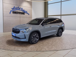 Skoda Kodiaq age.one-day registration Kaufen