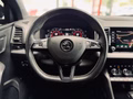 Daumennagel 18 - Skoda Karoq Sportline 4x4 CANTON|4xSHZ+LK|NAVI|VIRTUAL|DCC|TEMPOMAT