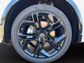 Daumennagel 11 - Volkswagen Tiguan Black R-Line TDI AHK+Matrix+Navi+ACC+Kamera