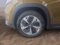 Daumennagel 14 - Skoda Kodiaq 2,0TDI DSG 4x4 AHK/4*J.Gar/Navi/el.Klappe/Kamera  **