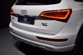 Daumennagel 7 - Audi Q5 S-LINE/PANO/BANG OLUFSEN/PREMIUM PLUS