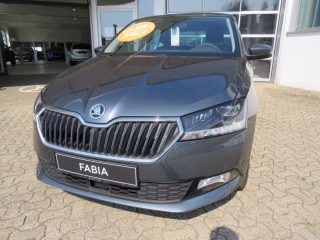 Skoda Fabia III 1.0 MPI Soleil, Alu, LED, Navi, 5J. Garantie