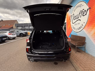 Ford Kuga Plug-In Hybrid ST-Line X /ACC/AHK schwenkbar/19Zoll - foto 7