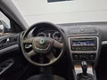 Daumennagel 11 - Skoda Octavia Combi Ambition 4X4 TDi 4x4 Xenon Tempomat
