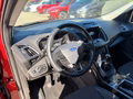 Daumennagel 11 - Ford Kuga 1.5 EcoBoost Titanium AHK/Navi/Klima