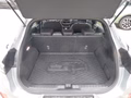 Daumennagel 7 - Ford Puma ST-Line X Aus 1. Hand, Unfallfrei, AHK