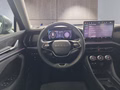Daumennagel 12 - Skoda Kodiaq 1.5TSI mHEV Navi/Kamera/LED/el.Klappe/Kessy  **