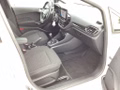 Daumennagel 13 - Ford Fiesta 1.0 EcoBoost S&S TITANIUM Winter-Paket