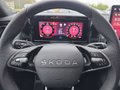 Daumennagel 26 - Skoda Kodiaq Sportline 1,5TSI aAHK/7-Sitzer/Pano/Matrix/Navi   **