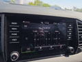Daumennagel 44 - Skoda Karoq Sportline 1,5TSI DSG aAHK/Matrix/Kessy/Winterp.  **