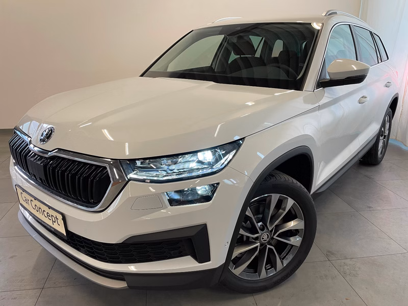 Skoda Kodiaq Tour 2.0 TDI 4x4 AHK StHz 19" Kamera