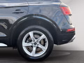 Daumennagel 28 - Audi Q5 40 TDI quattro S line LED/LEDER/PANO/VIRTUAL COCKPIT
