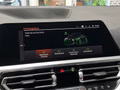 Daumennagel 33 - BMW 430 i M Sport |Schiebedach|H&K|ACC|STHZ|