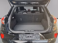 Daumennagel 10 - Ford Puma ST-Line