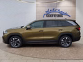 Daumennagel 2 - Skoda Kodiaq 2,0TSI DSG 4x4 aAHK/7-Sitzer/Matrix/Navi/el.Klappe