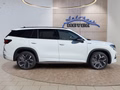 Daumennagel 6 - Skoda Kodiaq Sportline 2,0TDI 193PS aAHK/4*J.Gar/Matrix/Navi/ACC/el.Klappe  **