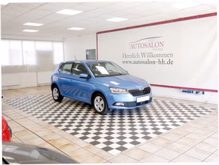 Skoda Fabia Gebrauchtwagen Kaufen