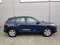 Daumennagel 4 - Ford Kuga Plug-In Hybrid Cool & Connect