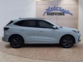 Daumennagel 10 - Ford Kuga ST-Line 2.5 Plug-in-Hybrid aAHK/Keyless/Winterp/LED/Navi **