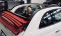 Daumennagel 11 - Fiat 500C CABRIO|PDC|MFL
