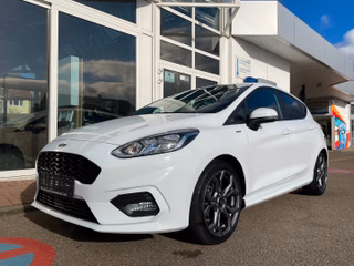 Ford Fiesta Gebrauchtwagen Kaufen
