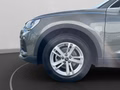 Daumennagel 11 - Audi Q3 35 TFSI S tronic LED+ACC+PDC