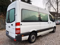 Daumennagel 33 - Mercedes-Benz SPRINTER KASTEN VOLLVERGLAST*AUTOMATK*129PS*