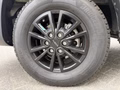 Daumennagel 19 - Iveco 35S Hi-Mat SpecialEdi LED AHK AlleAsist Kamera