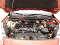 Daumennagel 13 - Ford Kuga 2.5 Duratec PHEV TITANIUM AHK el. Heckkl.
