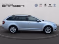 Daumennagel 5 - Skoda Octavia 1.5 TSI Style Sunset AHK+PDC+SH