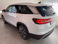 Daumennagel 7 - Skoda Kodiaq 2.0 TDI 4x4 Selection 7 SITZE LEDER PANO