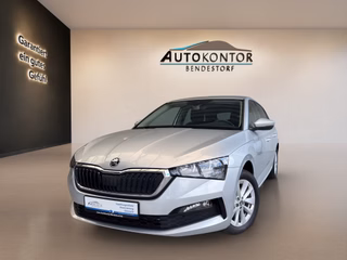 Skoda Scala Gebrauchtwagen Kaufen