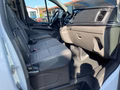 Daumennagel 13 - Ford Tourneo Custom L2 Titanium RFK + Bi-Xenon