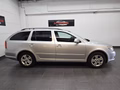 Daumennagel 8 - Skoda Octavia Combi 1.4 TSI Ambiente Automatik
