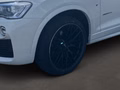 Daumennagel 6 - BMW X3 xDrive 20 d M Sport/AHK